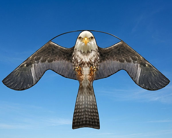 Визуальный отпугиватель птиц Кондор-140 копирует особенности нескольких хищных птиц